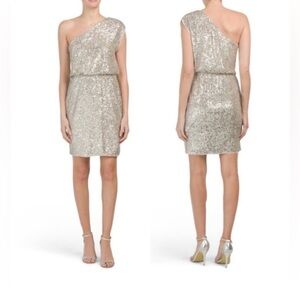 NWT Adrianna Papell Sequin One Shoulder Cocktail Dress Size 10 Petites